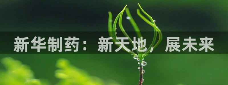 九游会老哥必备的交流社区:新华制药:新天地,展未来